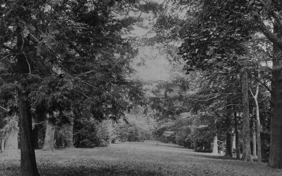 a scanned black and white photograph of a lawn lined with with tall trees 